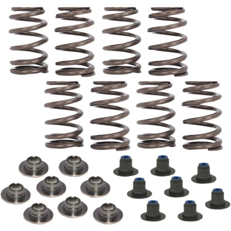 Beehive Valve Spring Kit
