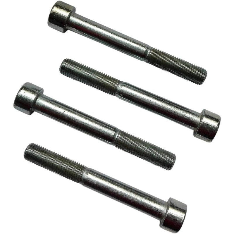 Sissybar   Saddlebag Mounting Kit