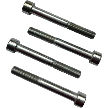 Sissybar   Saddlebag Mounting Kit