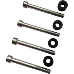 Sissybar   Saddlebag Mounting Kit