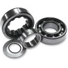 Outer Camshaft Bearing Kit