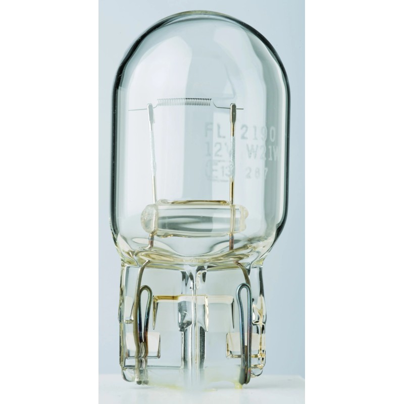 Filament Glass Wedge Bulbs