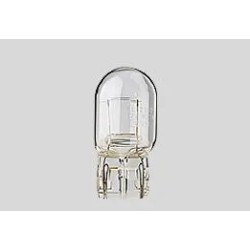 Filament Glass Wedge Bulbs