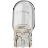 Filament Glass Wedge Bulbs