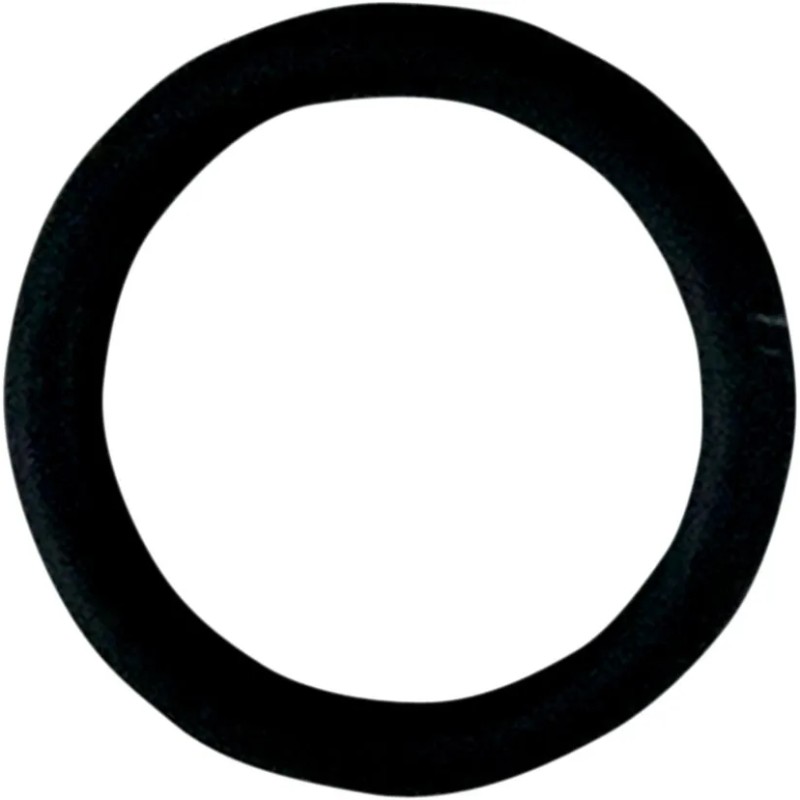 Replacement O-Ring for Fuel Check Valve