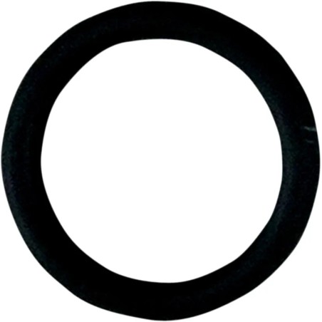 Replacement O-Ring for Fuel Check Valve