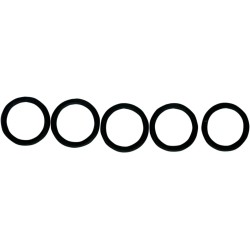 Replacement O-Ring for Fuel Check Valve