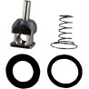 Fuel Check Valve Rebuild Kit