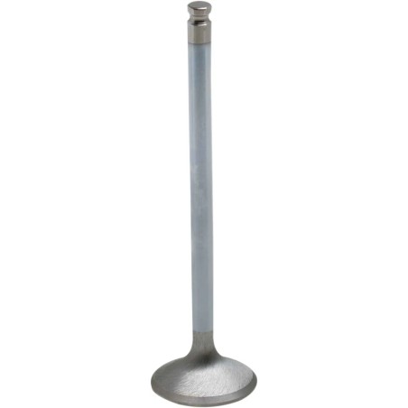 Soupape moteur White Diamond®