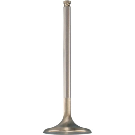 Soupape moteur White Diamond®