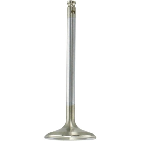 White Diamond  Engine Valve