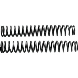 Front Fork Springs