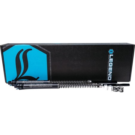 Suspension avant AXEO Performance +2"