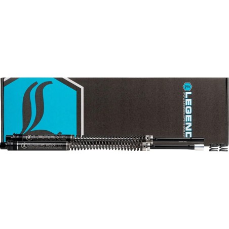 AXEO pour FL Touring 1" Rabaissé