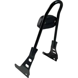 Sissy bar monobloc