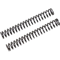 Fork Springs for FGK Cartridge Kit