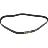 Rear Drive Belt