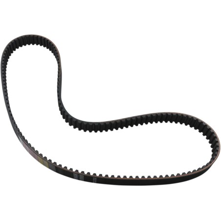 Rear Drive Belt