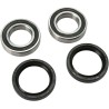 Wheel Bearing and Seal Kit