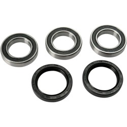 Wheel Bearing and Seal Kit