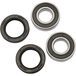 Wheel Bearing and Seal Kit