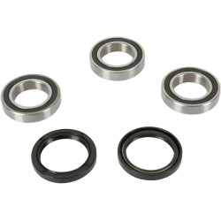 Wheel Bearing and Seal Kit