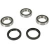Wheel Bearing and Seal Kit