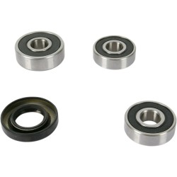 Wheel Bearing and Seal Kit