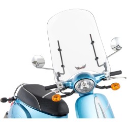Scoot Windshield