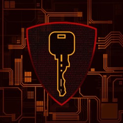 Direct Link Digital License