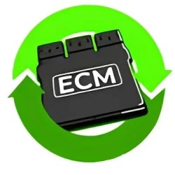 Licence de reconditionnement VCM