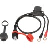 Weatherproof permanent battery lead, powersport