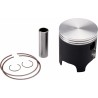 Piston Kit for 2 Stroke