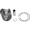 Piston Kit for 2 Stroke