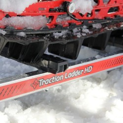 Traction Ladder