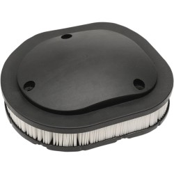 OEM Replacement Air Filter for Indian