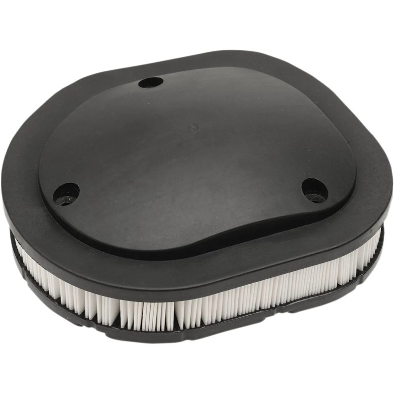 OEM Replacement Air Filter for Indian