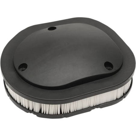 OEM Replacement Air Filter for Indian