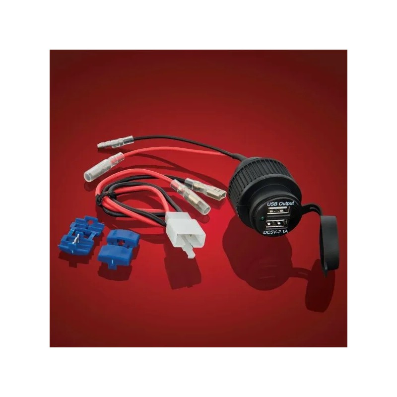 2-Port USB Accesory Socket