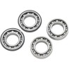 Counter Balancer Bearing Kit