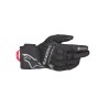 Crestone Gore-Tex  Insulated Gloves