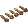 Original  Gold Ice Screws