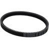 Severe Duty Drive Belt