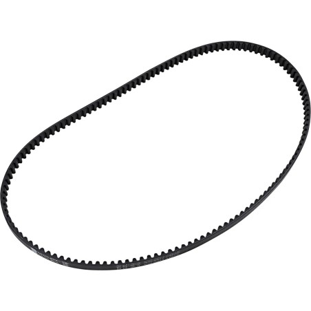 24 mm Rear Drive Belt