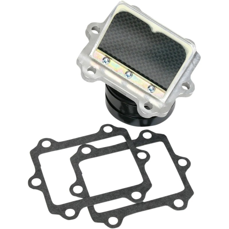 Ensemble cage à clapets Rad Valve