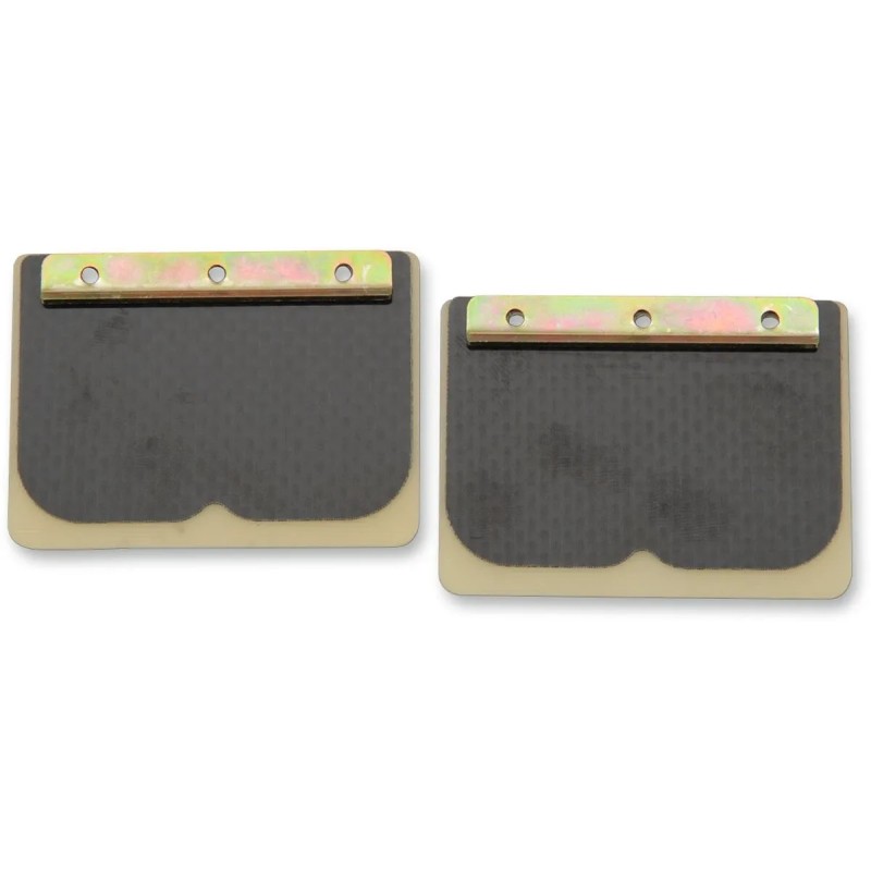 Replacement Pro Series Reed Set for RAD Valve