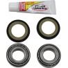 Steering Stem Bearing Kit