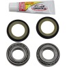 Steering Stem Bearing Kit