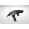 Front Fender Custom