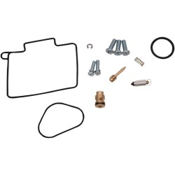 Carburetor Repair Kit
